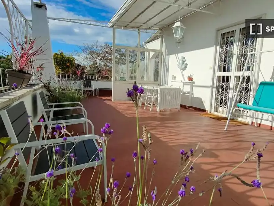 Immagine 6 di Appartamento in affitto  in Via Nicolo Piccinni a Roma