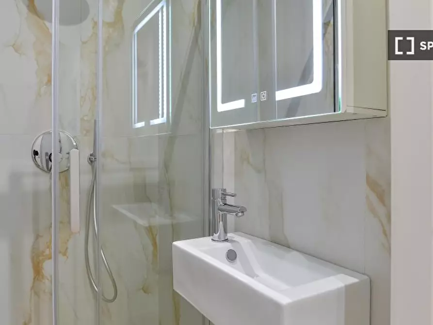 Immagine 13 di Camera condivisa in affitto  in Via Cesana a Torino