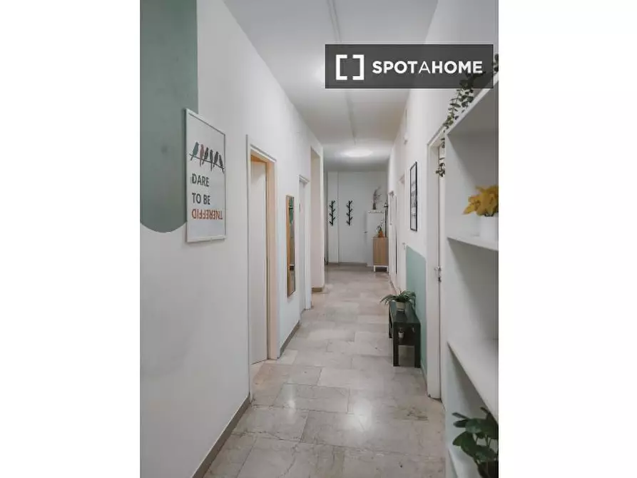 Immagine 18 di Camera condivisa in affitto  in Ciamician a Bologna