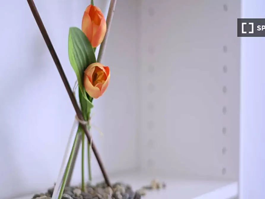 Immagine 8 di Camera condivisa in affitto  in Via Antonio Bazzini a Milano