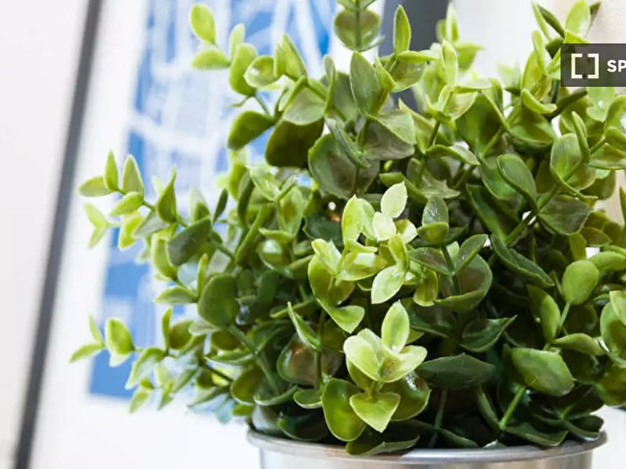 Immagine 7 di Camera condivisa in affitto  in Via Salvatore Barzilai a Milano