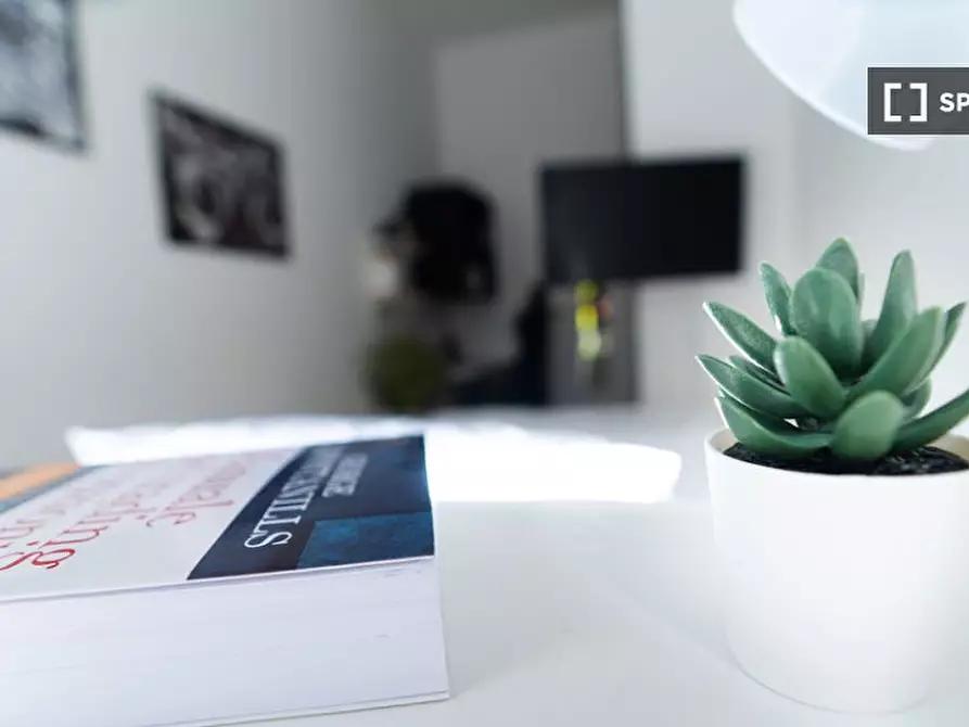 Immagine 7 di Camera condivisa in affitto  in Viale Papiniano a Milano