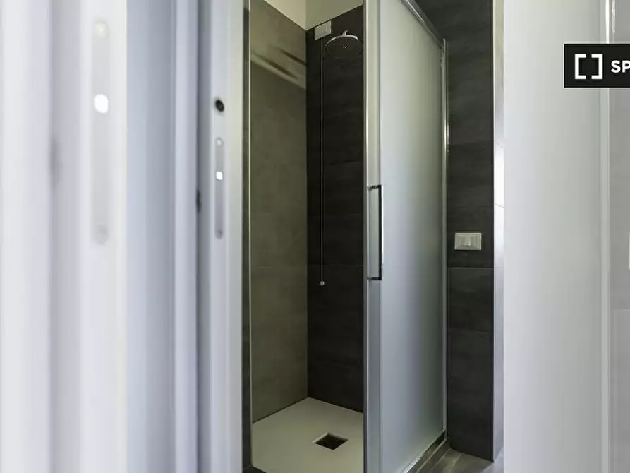 Immagine 7 di Camera condivisa in affitto  in Via Bartolomeo Eustachi a Milano