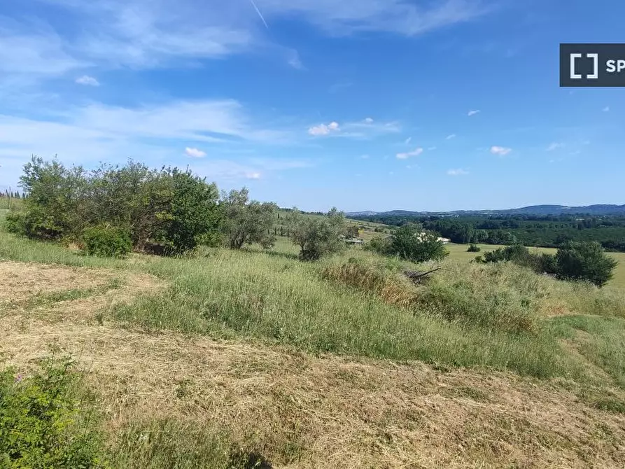 Immagine 5 di Appartamento in affitto  in Via dei Gigli a Sutri