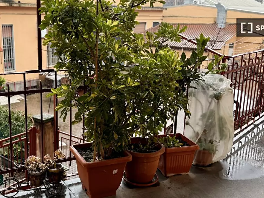 Immagine 2 di Ufficio in affitto  in Via Bernardino Verro a Milano