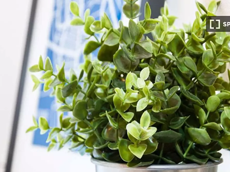 Immagine 6 di Camera condivisa in affitto  in Via Salvatore Barzilai a Milano