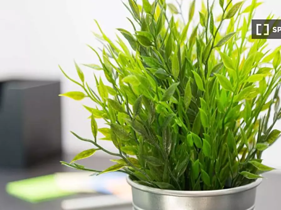 Immagine 13 di Camera condivisa in affitto  in Via dei Pioppi Milan a Buccinasco