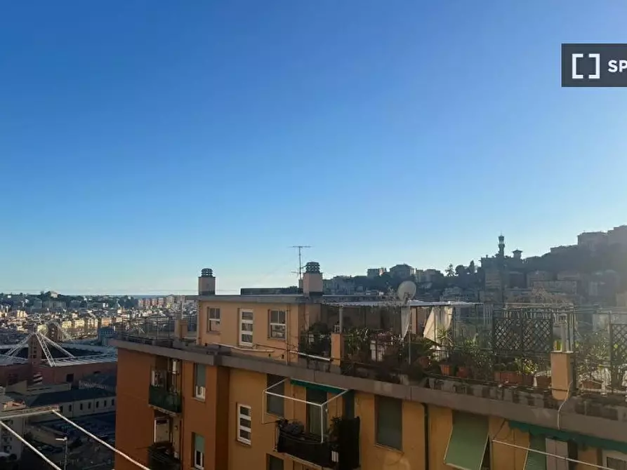 Immagine 9 di Camera condivisa in affitto  in Via Monte Rosa a Genova
