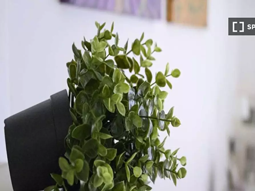 Immagine 9 di Camera condivisa in affitto  in Via Ippodromo a Milano