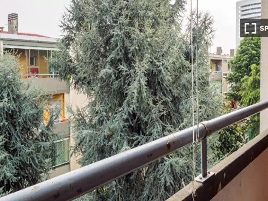 Immagine 14 di Camera condivisa in affitto  in Via Luca Ghini a Milano