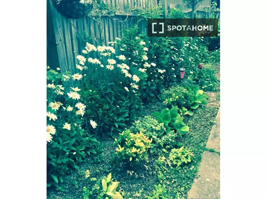 Immagine 14 di Camera condivisa in affitto  in Courtenay Gardens a 