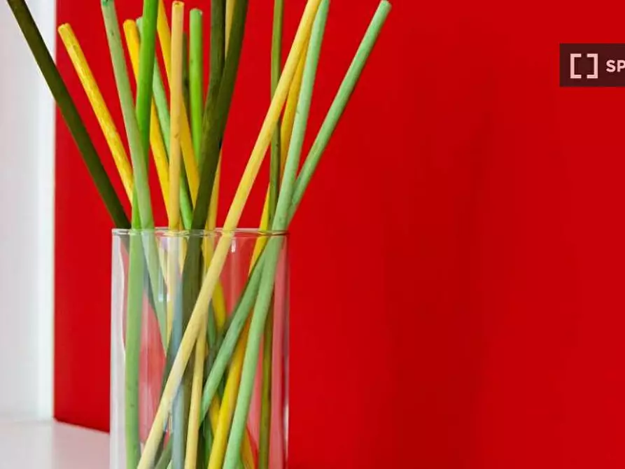 Immagine 7 di Camera condivisa in affitto  in Via Raffaello Bertieri a Milano