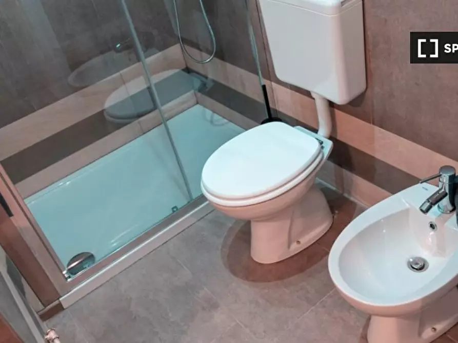 Immagine 12 di Camera condivisa in affitto  in Via Alfonso Bonafous a Torino