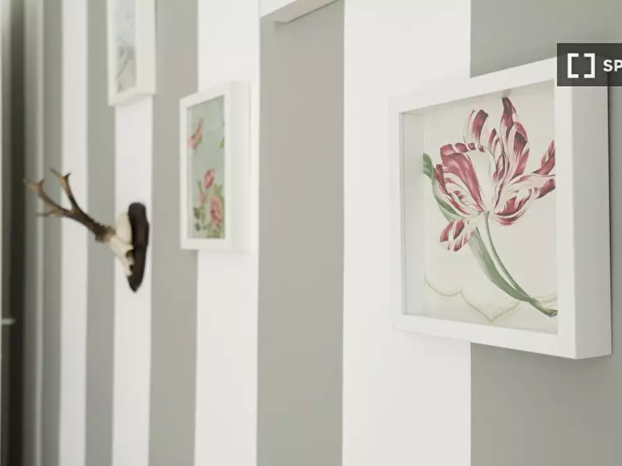 Immagine 17 di Appartamento in affitto  in Via Melzo a Milano