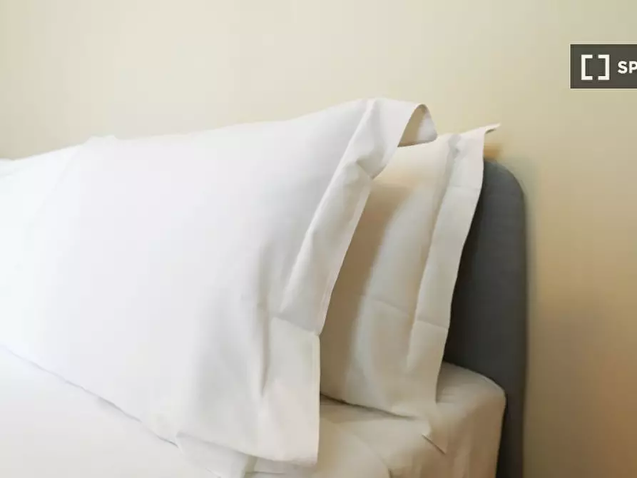 Immagine 15 di Appartamento in affitto  in Via dei Tulipani a Milano