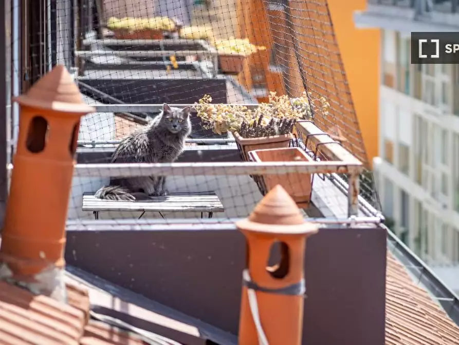 Immagine 16 di Appartamento in affitto  in Viale Umbria a Milano