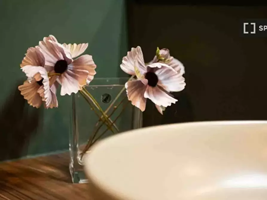 Immagine 11 di Appartamento in affitto  in Via Giulio Carcano a Milano