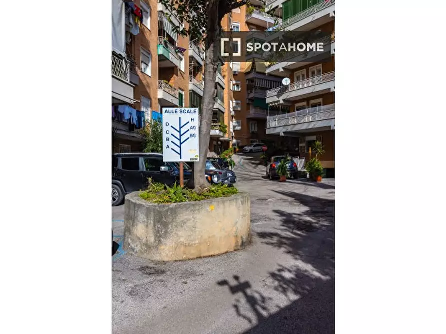 Immagine 11 di Appartamento in affitto  in Corso Amedeo di Savoia a Napoli