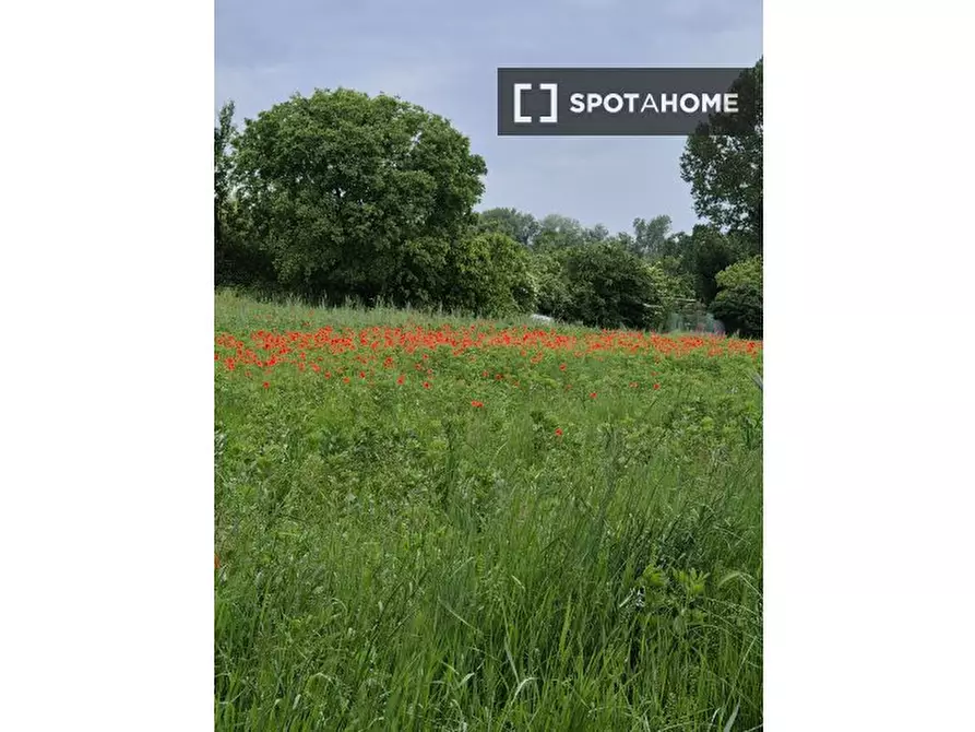 Immagine 4 di Appartamento in affitto  in Via Cascina Barocco a Milano