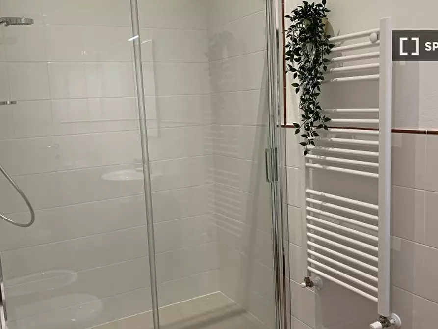 Immagine 8 di Camera condivisa in affitto  in VIA S. ANTONINO (1) a Firenze