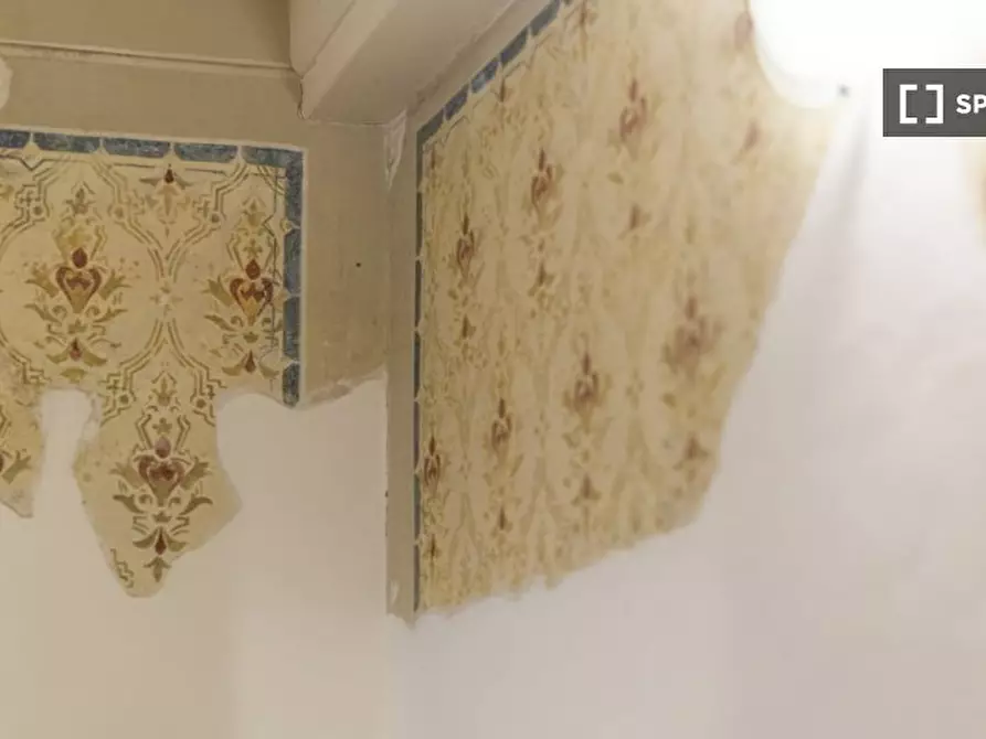 Immagine 3 di Appartamento in affitto  in Via Maggio a Firenze