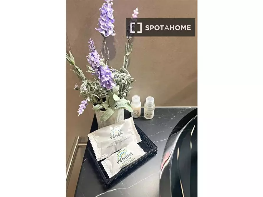 Immagine 11 di Appartamento in affitto  in Via Andrea Mantegna a Milano