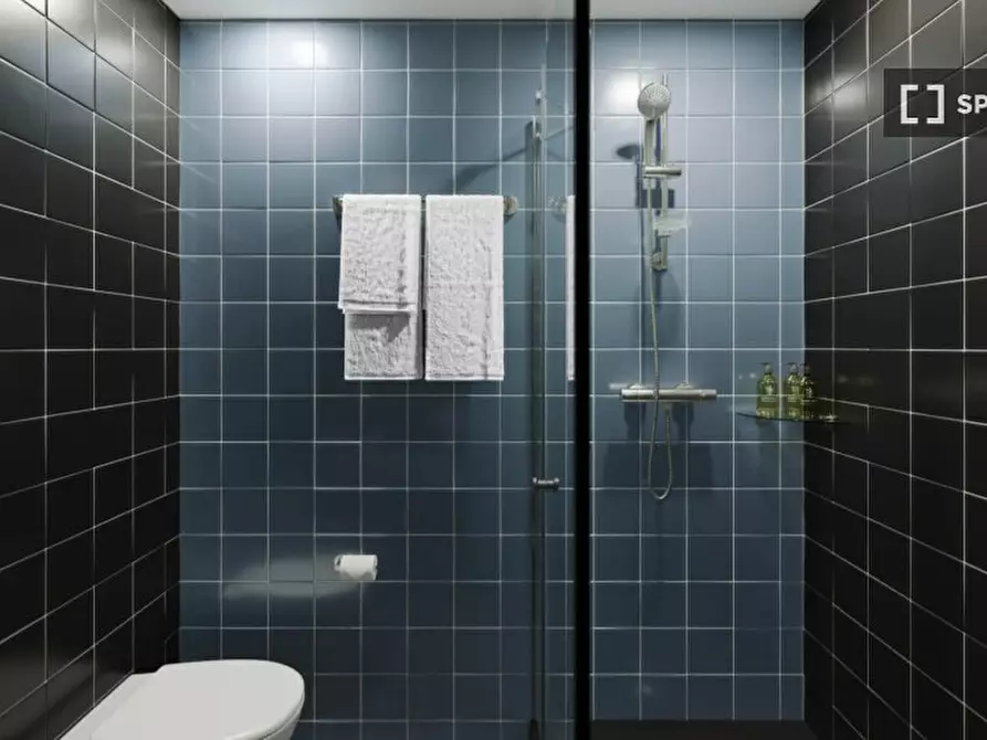 Immagine 3 di Residence in affitto  in Viale Belfiore a Firenze