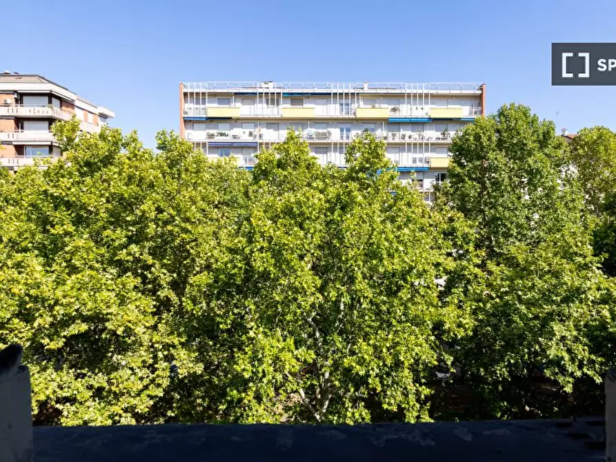 Immagine 5 di Camera condivisa in affitto  in Corso Duca degli Abruzzi a Torino