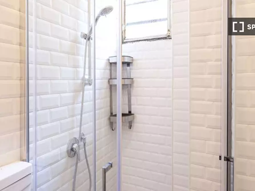 Immagine 12 di Camera condivisa in affitto  in Via Paolo Bassi Milan a Milano