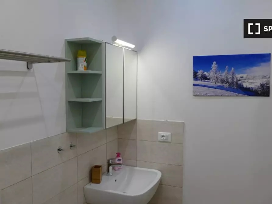 Immagine 11 di Appartamento in affitto  in Via Pietro Baiardi, 10126 Torino TO, Italy a Torino