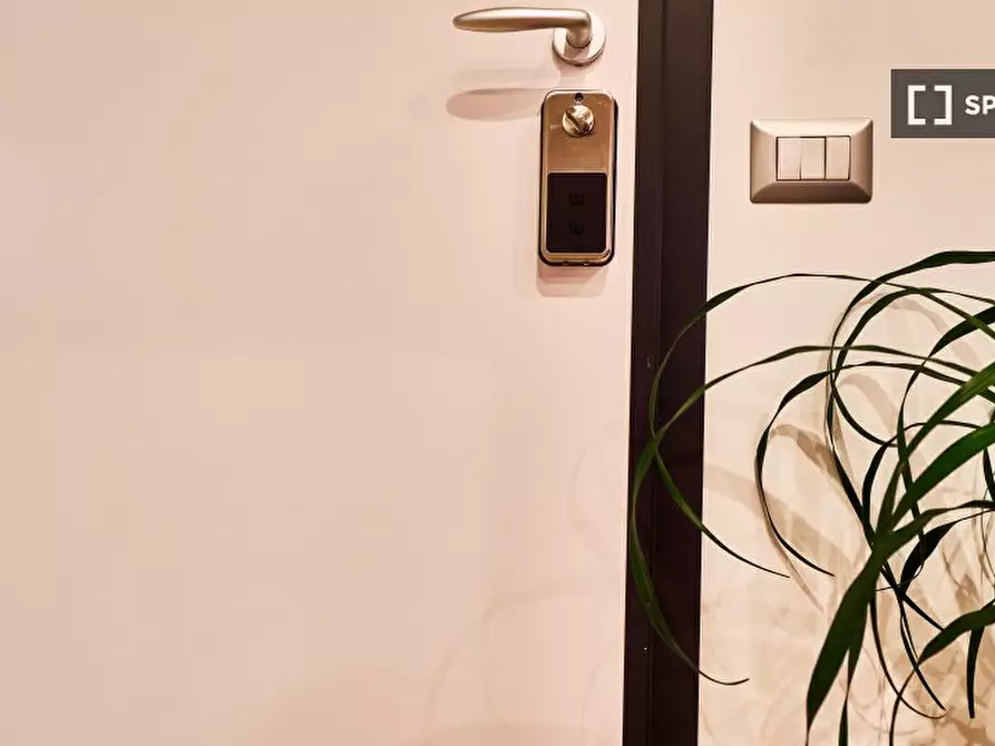 Immagine 19 di Appartamento in affitto  in Via Francesco de Sanctis a Roma