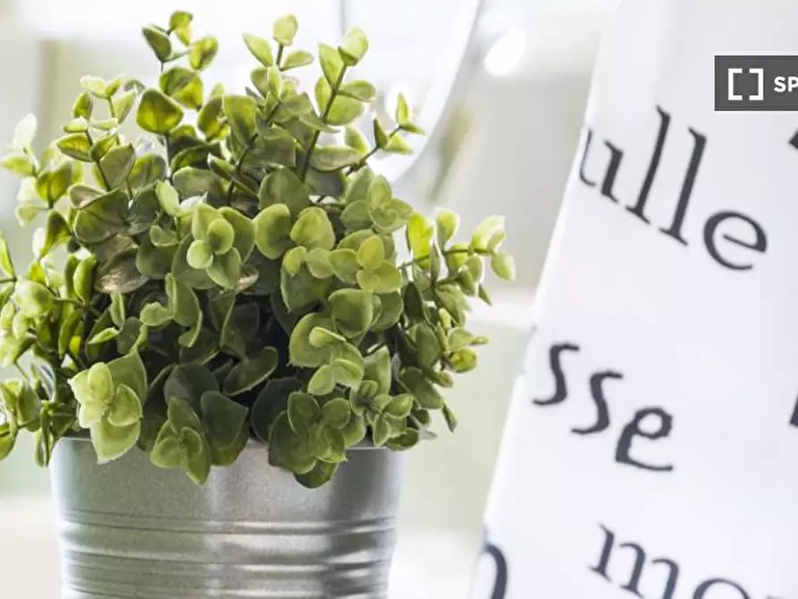 Immagine 13 di Camera condivisa in affitto  in Viale Carlo Espinasse Milan a Milano