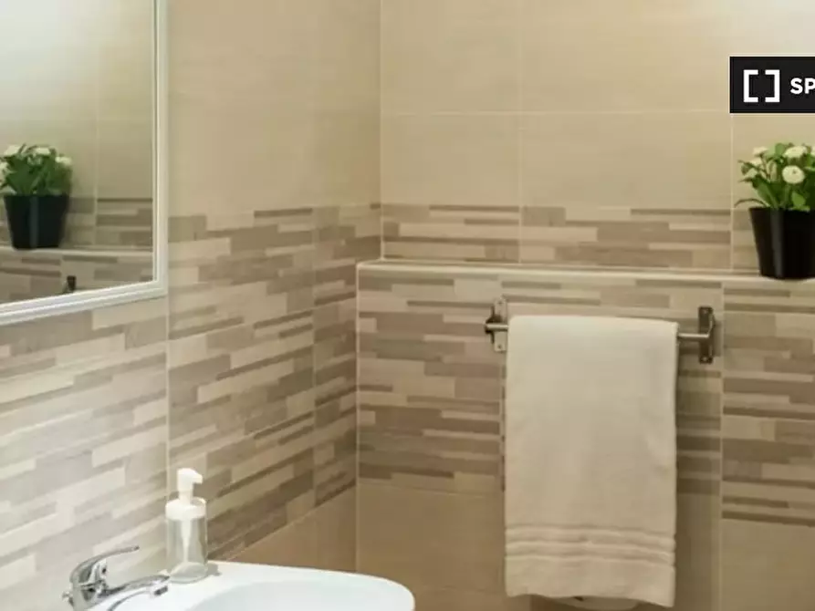 Immagine 11 di Camera condivisa in affitto  in Corso Massimo d'Azeglio a Torino