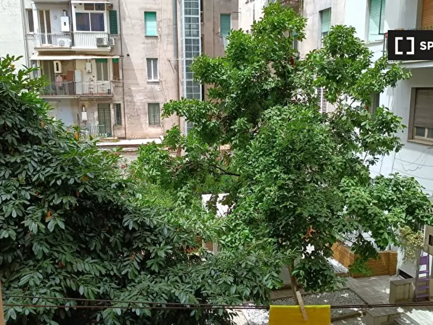 Immagine 7 di Camera condivisa in affitto  in Via Mirandola a Roma