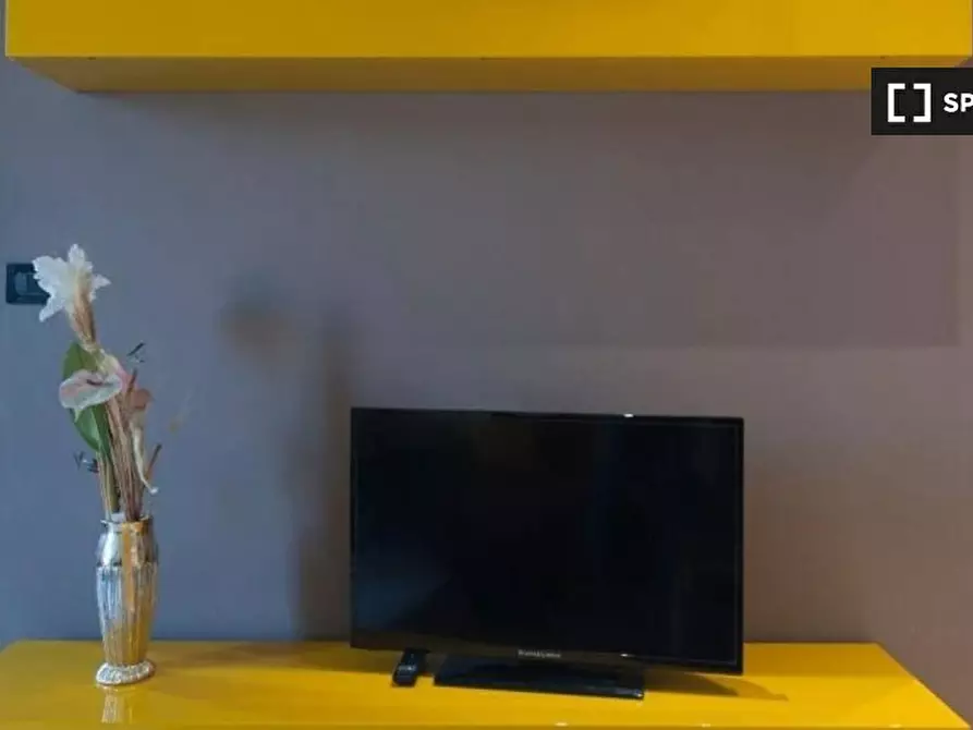 Immagine 14 di Appartamento in affitto  in Viale Fulvio Testi a Milano