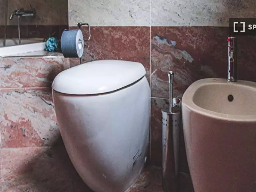 Immagine 17 di Camera condivisa in affitto  in Via Ippodromo Milan a Milano