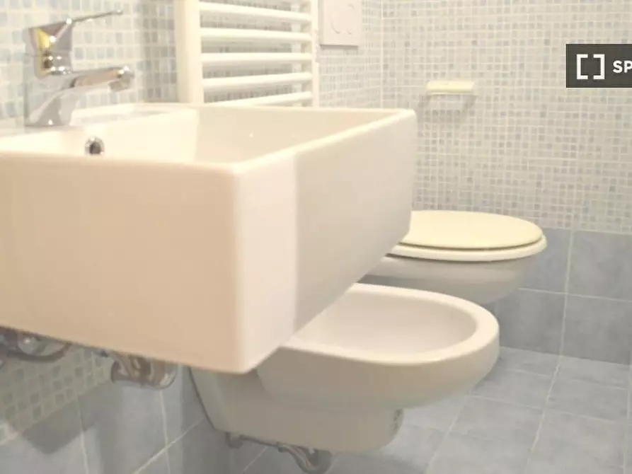 Immagine 15 di Camera condivisa in affitto  in Via Monte S. Michele a Sesto San Giovanni