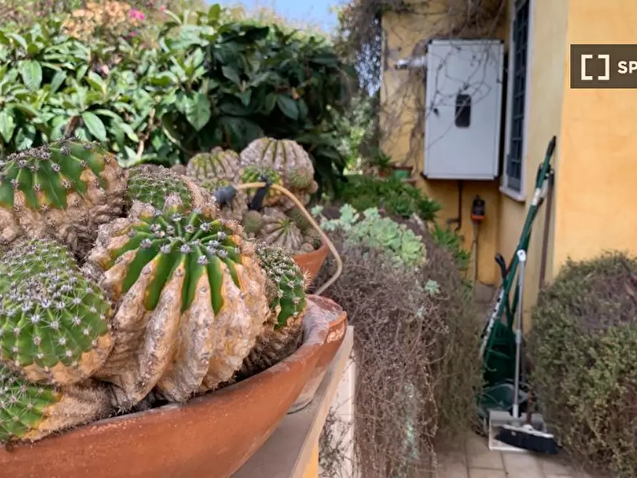 Immagine 19 di Appartamento in affitto  in Via Sisto Scaglia a Roma