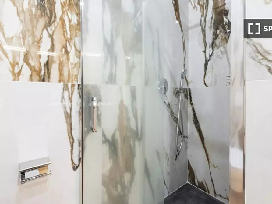 Immagine 5 di Appartamento in affitto  in Via S. Gallo a Firenze