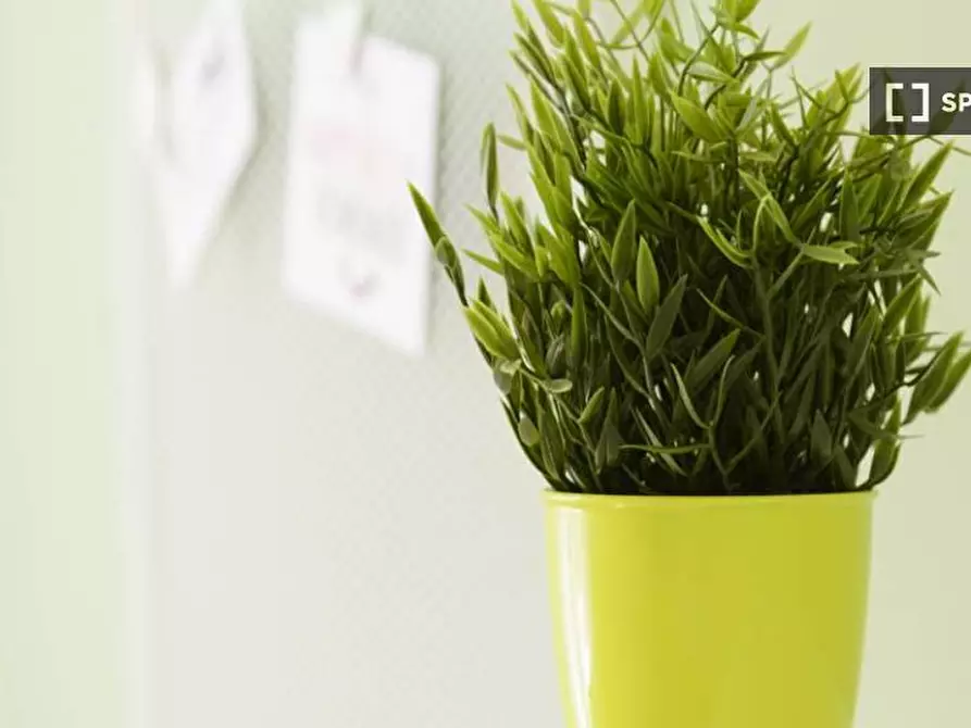 Immagine 7 di Camera condivisa in affitto  in Via Privata Procopio a Milano