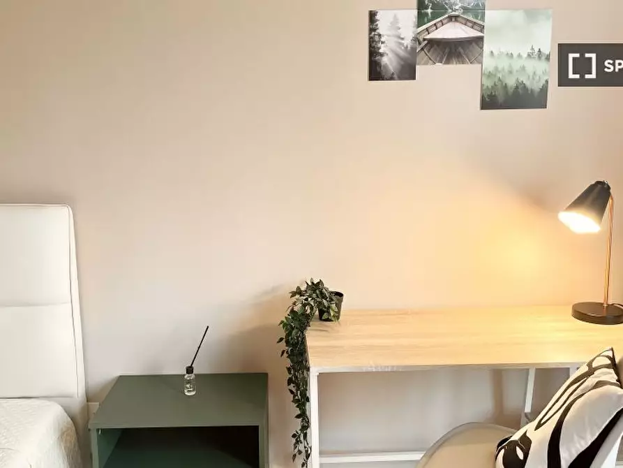 Immagine 8 di Camera condivisa in affitto  in LUNGARNO VESPUCCI a Firenze