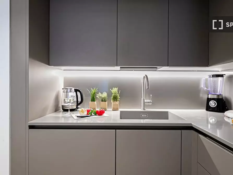 Immagine 4 di Appartamento in affitto  in Via V. Monti a Milano