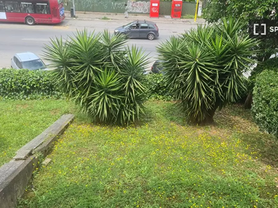 Immagine 3 di Camera condivisa in affitto  in Via Mattia Battistini a Roma