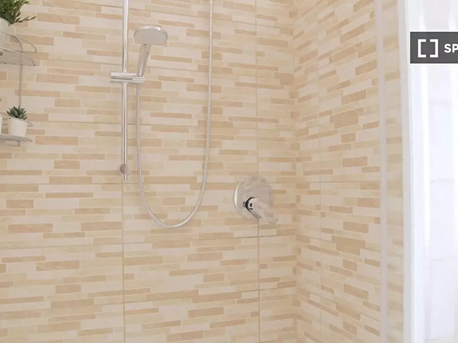 Immagine 9 di Camera condivisa in affitto  in Zacconi a Bologna