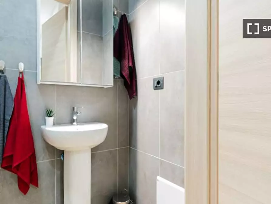 Immagine 11 di Camera condivisa in affitto  in Via Carlo Pedrotti a Torino