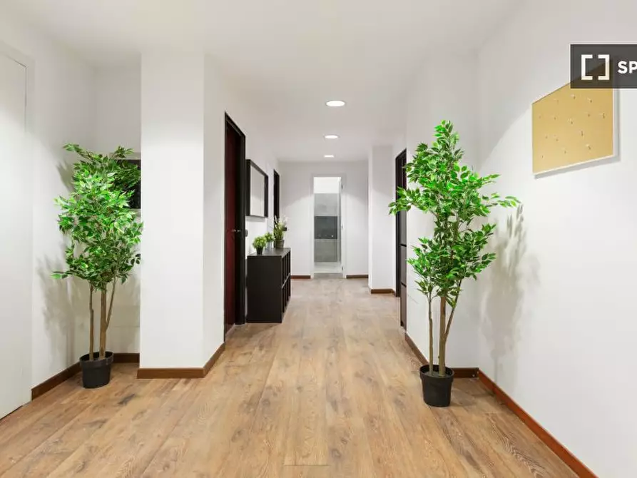 Immagine 11 di Camera condivisa in affitto  in Via Dei Gracchi a Milano