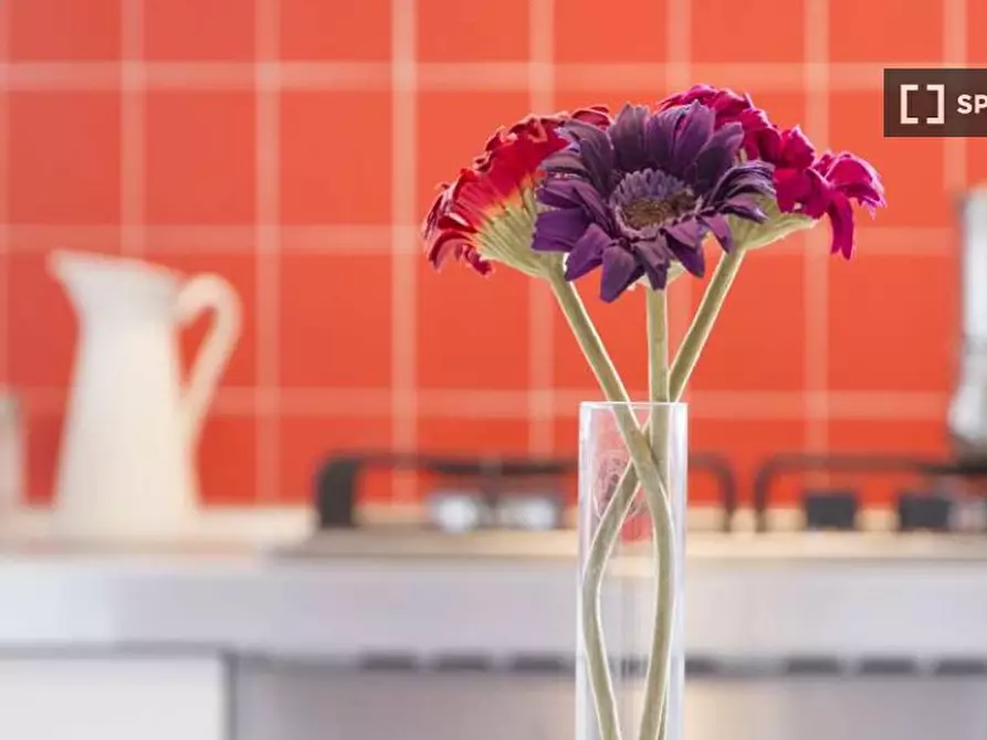 Immagine 11 di Camera condivisa in affitto  in Viale Carlo Espinasse Milan a Milano