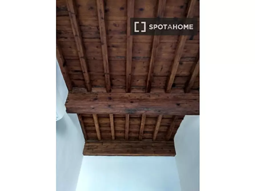 Immagine 13 di Appartamento in affitto  in Borgo San Frediano a Firenze