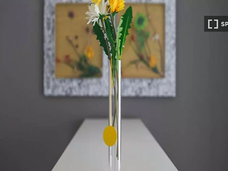 Immagine 7 di Camera condivisa in affitto  in Via Paolo Bassi a Milano