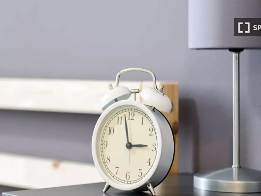 Immagine 5 di Camera condivisa in affitto  in VIA ANNIBALE GRASSELLI a Milano